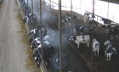 現代畜牧場綜合噴霧系統 降溫、消毒與除臭的技術革新與應用
