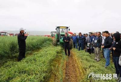 全國牧草（燕麥飼草）生產全程機械化推進活動在青海圓滿舉行，助力畜牧設備技術升級