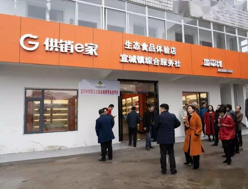 六月，開啟一場藍莓的采摘之旅 投資興辦實業(yè)的田園機遇